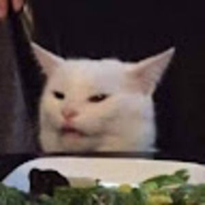 Meet your Posher, Jackson